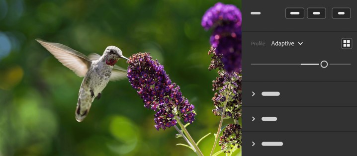 Adobe presenta Perfiles Adaptativos para Lightroom y Camera Raw
