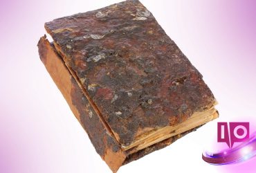 Libro Único de los Muertos en Venta - Ligeramente Usado y Raro