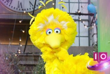 Trump emprende acciones legales para despedir al jefe de Big Bird