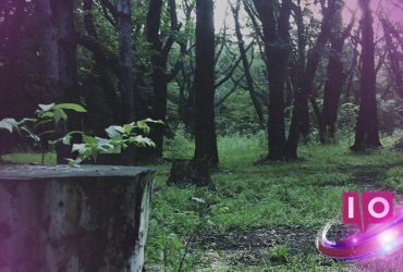 Cómo la demo 'P.T.' de Hideo Kojima ayuda a los niños japoneses a aprender inglés