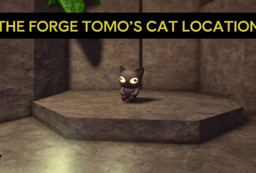 Encuentra el gato de Tomo en La Forja: Guía de ubicación completa