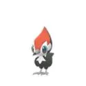 Pikipek
