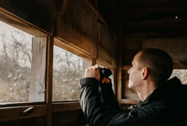 Cómo la IA está arruinando la observación de aves: Riesgos para la vida silvestre y los aficionados